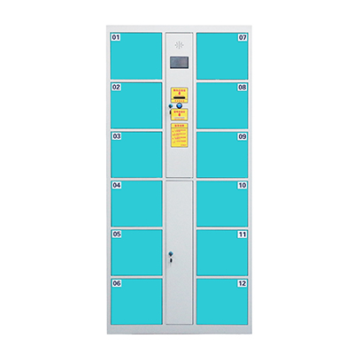 12門電子存包柜果綠